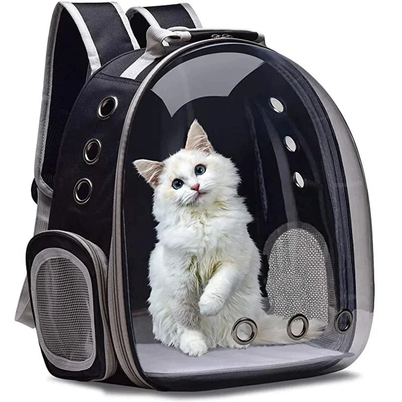 Pet Tech Club Travel and  Housing