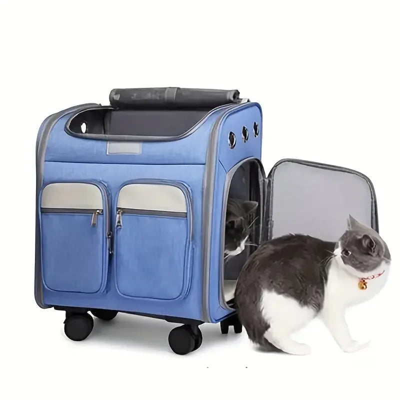 S05c50eaea44f4efda5c6c377a2ff902e8