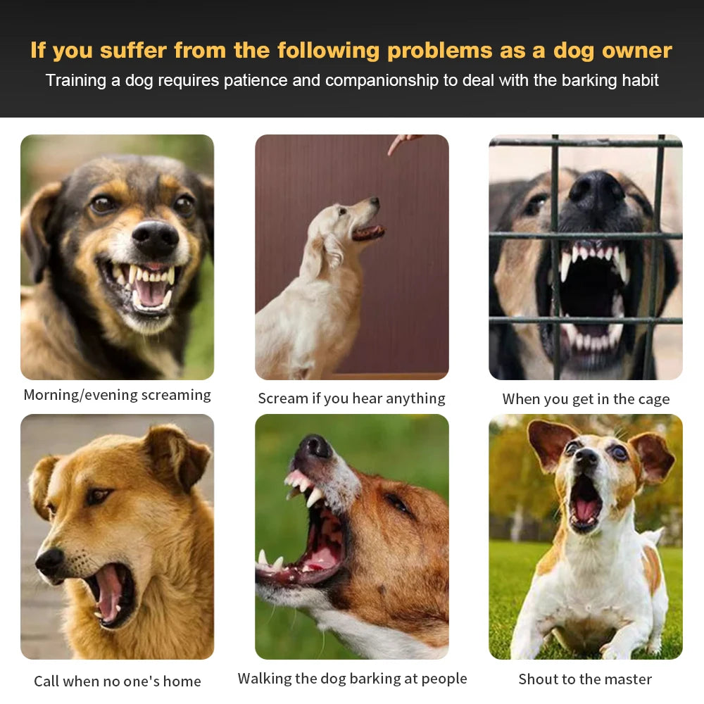 S0d4d600037114ce6a8e5c293da3ca17cT